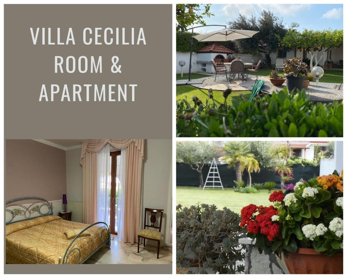 Villa Cecilia Bed And Breakfast Cellole Exterior photo